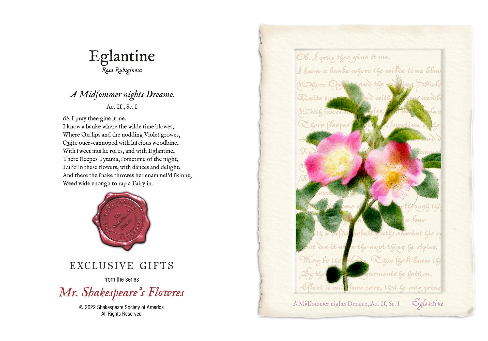Eglantine Card Shakespeare Society Of America