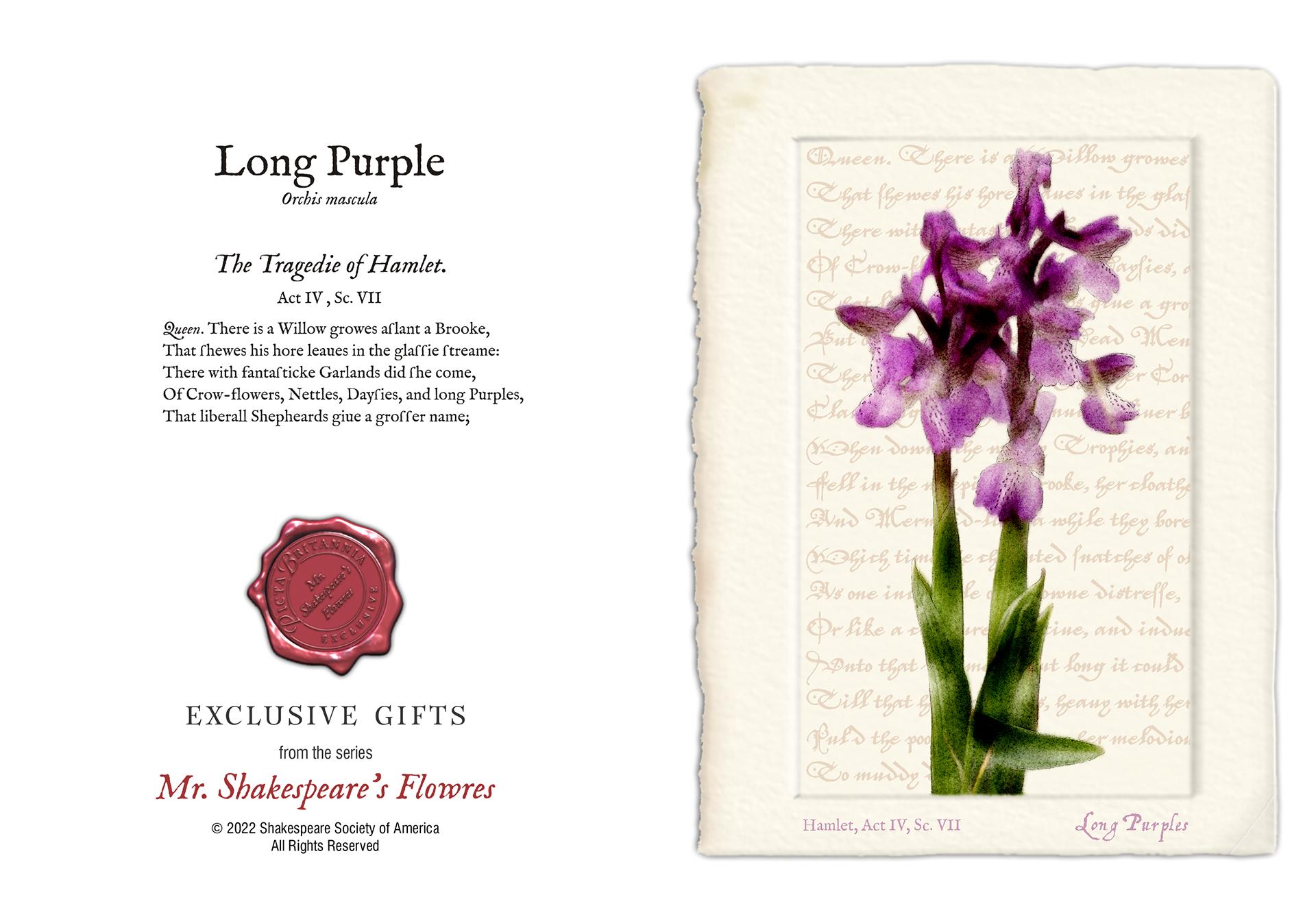 Long Purple Card Shakespeare Society Of America