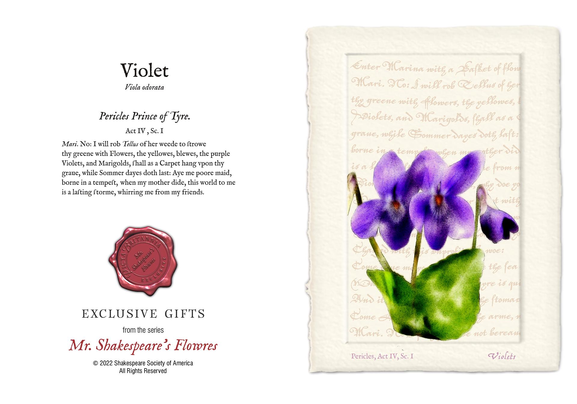 Violet Card Shakespeare Society Of America